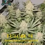 Future #1 S1 (Feminized) - Elite Clone Seed Company