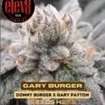 Gary Burger (Feminized) - Elev8 Seeds