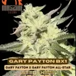 Gary Payton BX1 (Regular) - Massive Seeds