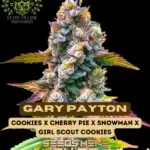 Gary Payton S1 (Feminized) - Elite Clone Seed Company