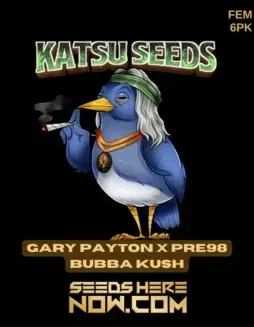 Gary Payton x Pre98 Bubba Kush Feminized Seeds (space) Earthy, Pine, Coffee, Spice Aroma