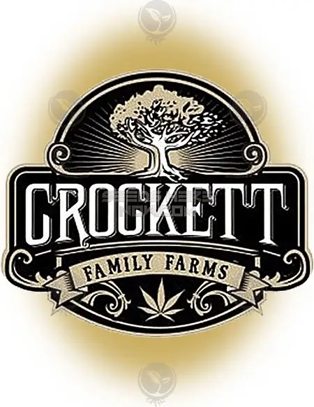 Close-up of Gas Candy feminized seeds from Crockett Family Farms featuring sweet, fruity, and diesel aromas