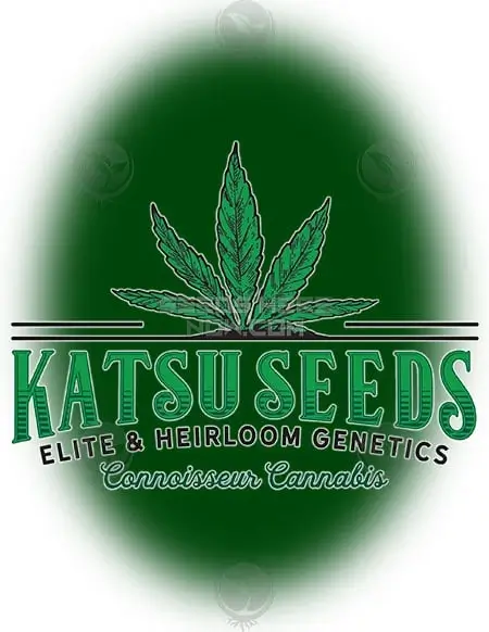 Gas Mattress Cannabis Seeds - Indica-dominant strain combining 80s Skunk and Hotcakes, bred by Katsu Seeds