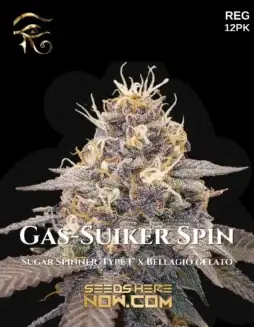 Pack of Gas (space)Suiker Spin cannabis seeds by First Principles Genetics