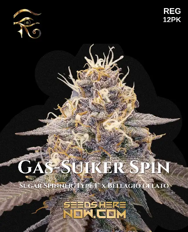 Pack of Gas -Suiker Spin cannabis seeds by First Principles Genetics