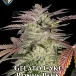 Gelato Cake Bonus Pack (Feminized) - T.H. Seeds