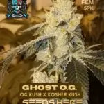 Ghost OG S1 (Feminized) - Elite Clone Seed Company