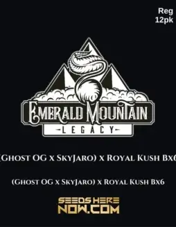 Pack of Ghost OG x SkyJaro x Royal Kush BX6 Regular Seeds by Emerald Mountain Legacy