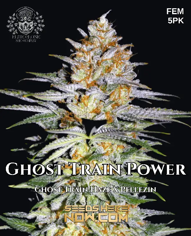 BANDAI - weed Xanadu (Katsu Seeds) :: Cannabis Strain Info :: SeedFinder.eu