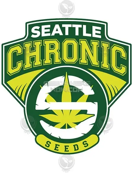 Ginsu Cannabis Seeds - Hybrid Strain by Seattle Chronic Seeds