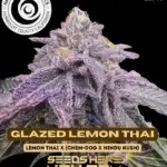 Glazed Lemon Thai (Regular) - Happy Dreams Genetics
