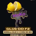 Glue DD F2 (Regular) - Lemon Hoko