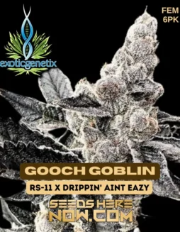 Pack of Gooch Goblin Feminized Seeds by Exotic Genetix