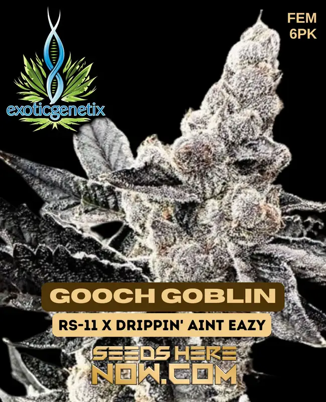 Pack of Gooch Goblin Feminized Seeds by Exotic Genetix