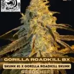 Gorilla Roadkill BX (Regular) - Skunk Really Works
