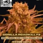 Gorilla Roadkill F2 (Regular) - Skunk Really Works