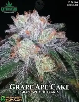 Grape Ape Cake regular cannabis seeds pack by Katsu Seeds, featuring Grape Ape and Hotcakes lineage