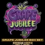 Grape Jubilee Box Set (Feminized) - Exotic Genetix