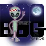 Grape Punch (Regular) - BOG Seeds