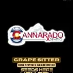 Grape Sitter (Regular) - Cannarado Genetics
