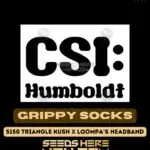 Grippy Socks (Feminized) - CSI Humboldt