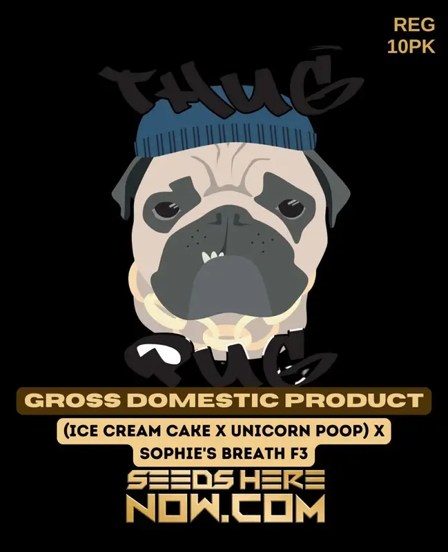 Gross Domestic Product regular cannabis seeds by Thug Pug Genetics, hybrid strain with 25% THC