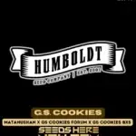 G.S. Cookies (Regular) - Humboldt Seed Company