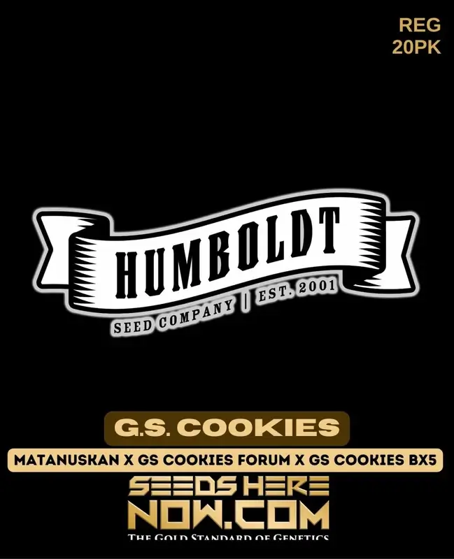 G.S. Cookies Regular Cannabis Seeds - Hybrid strain by Humboldt Seed Company