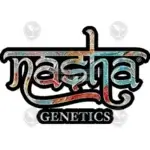 Gusher Crasher (Feminized) - Nasha Genetics