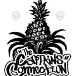 Gwiz F3 (Regular) - The Captain's Connection