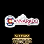 Gyrzo (Regular) - Cannarado Genetics