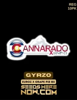 Pack of Gyrzo regular cannabis seeds by Cannarado Genetics