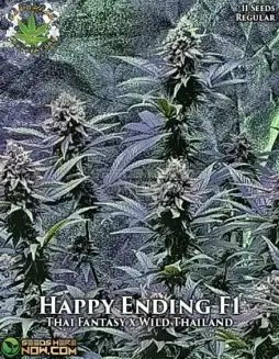 Packaging of Happy Ending Regular Cannabis Seeds by Eazy Daze Cultivators