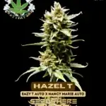 Hazel T (Autoflower) - Eazy Daze Cultivators