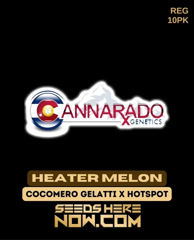 Heater Melon Regular Seeds - Hybrid Strain by Cannarado Genetics