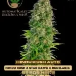 Hindu Kush (Autoflower) - Automatically Delicious