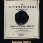 Hollywood Ghost (Regular) - Aficionado Seeds