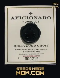 Hollywood Ghost (Regular) (space) Aficionado SeedsHollywood Ghost Cannabis Seeds (space) Indica Dominant Hybrid by Aficionado Seeds