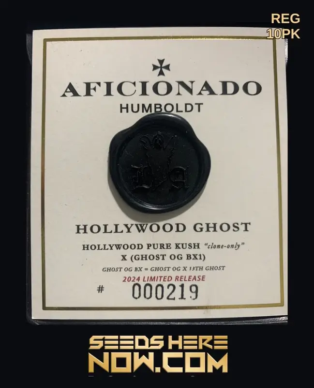 Hollywood Ghost Cannabis Seeds - Indica Dominant Hybrid by Aficionado Seeds