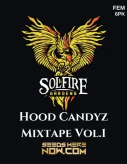 Hood Candyz Mixtape Vol.1 Feminized Cannabis Seeds by Solfire Gardens