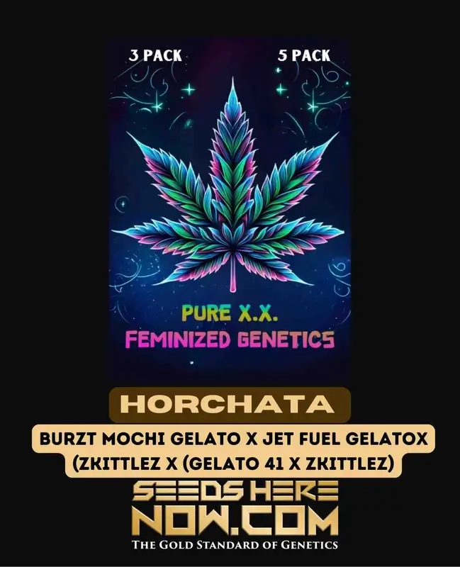 Horchata S1 Feminized Seeds - Mochi Gelato x Jet Fuel Gelato Hybrid