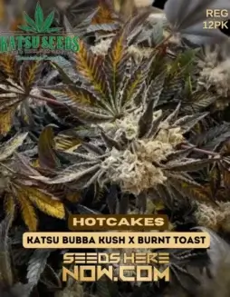 Hotcakes Regular Seeds (space) Katsu Bubba Kush x Burnt Toast (space) 20(space)25% THC