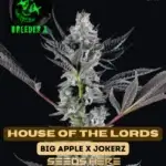 House of the Lords (Feminized) - Breeder X
