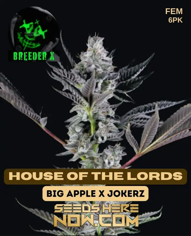 House of the Lords feminized cannabis seeds by Breeder X featuring Big Apple and Jokerz lineage