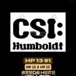 HP 13 S1 (Feminized) - CSI Humboldt