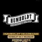 Humboldt Headband (Regular) - Humboldt Seed Company