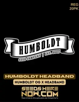 Humboldt Headband Regular Seeds (space) Earthy, Pine, Diesel, Lemon Aroma