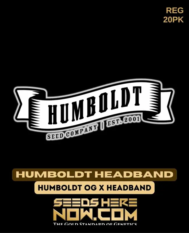 Humboldt Headband Regular Seeds - Earthy, Pine, Diesel, Lemon Aroma