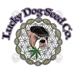 Hunza Valley 91 (Regular) - Lucky Dog Seed Company