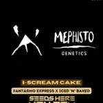 I - Scream Cake (Autoflower) - Mephisto Genetics